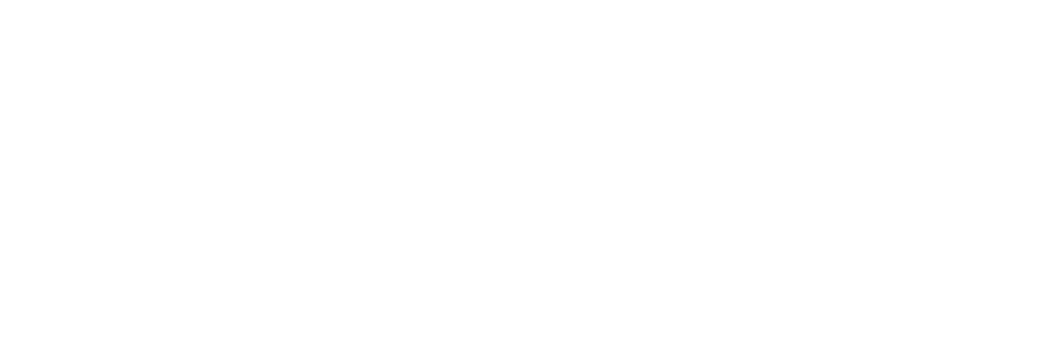 CDU-Bezirksfraktion Hamburg-Mitte